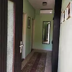 Borgina *