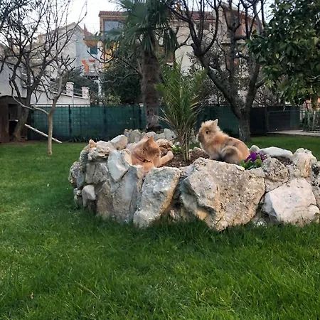 Borgina Apartman *