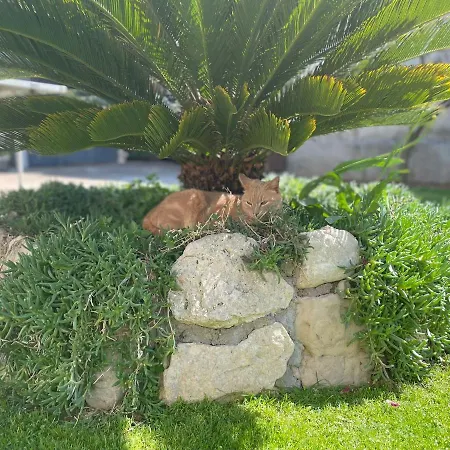 Borgina Apartman Vodice