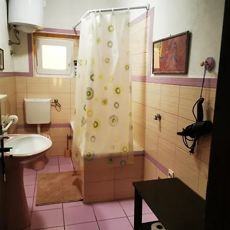 Apartment Borgina