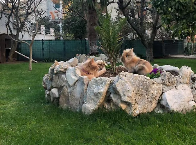 Borgina Apartamento *