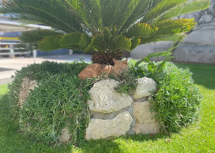 Borgina Apartament Vodice